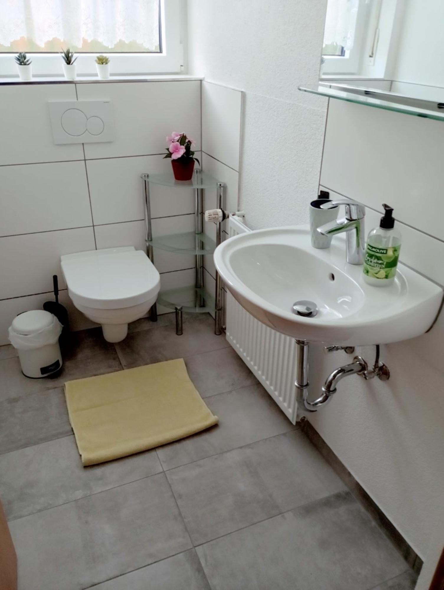 Apartment Haemmerle - Konstanz